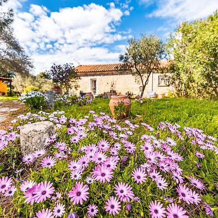 Вілла Casa Lilliosa Campavaglio Екстер'єр фото