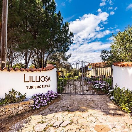 Вілла Casa Lilliosa Campavaglio Екстер'єр фото