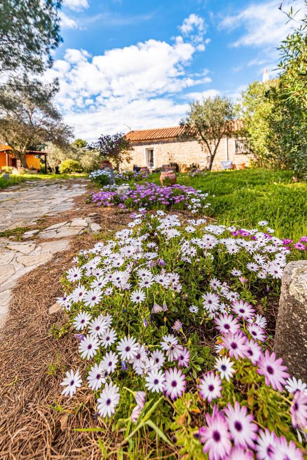 Вілла Casa Lilliosa Campavaglio Екстер'єр фото