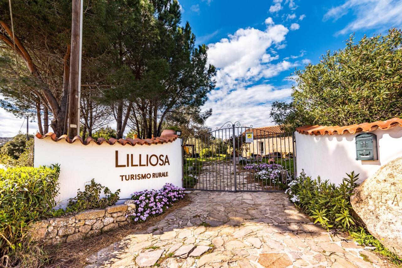 Вілла Casa Lilliosa Campavaglio Екстер'єр фото